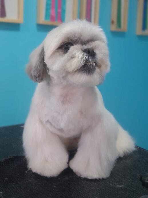 Listo para brillar con estilo ✨