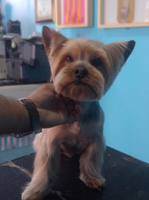 Un cambio que se nota desde la primera mirada ✨